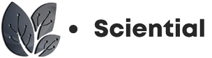 Sciential Digital Marketing Agency